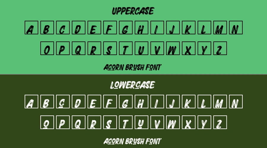 Acorn Brush Font Preview