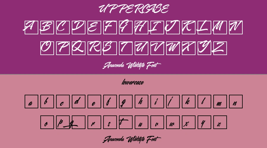 Anaconda Wildstyle Font Preview