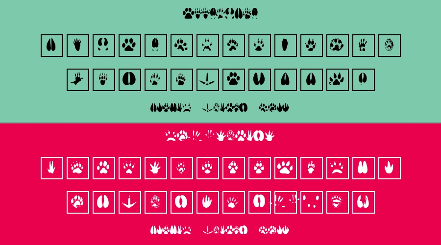 Animal Tracks Font Preview