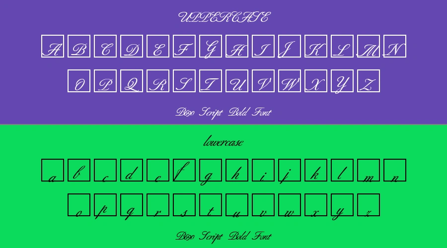 B690 Script Bold Font Preview