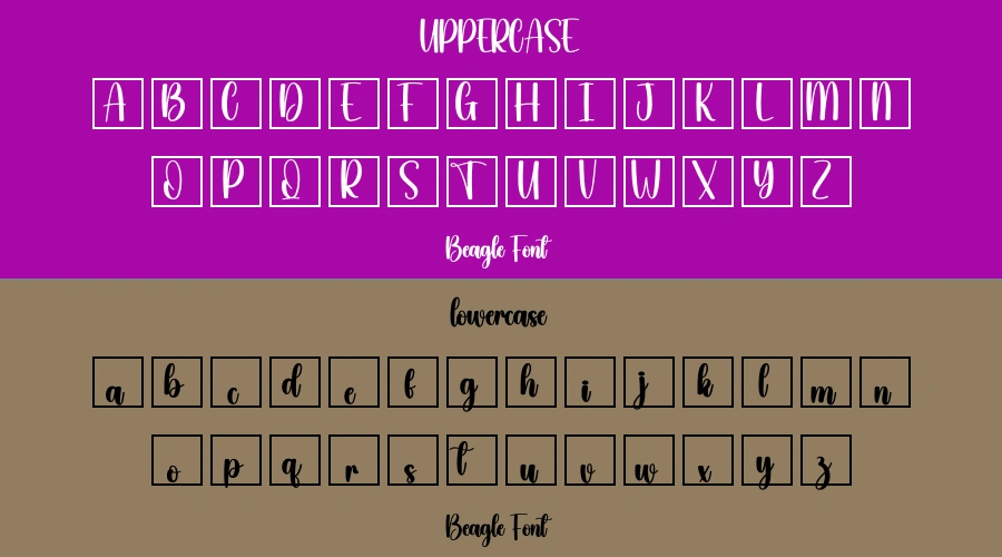 Beagle Font Preview