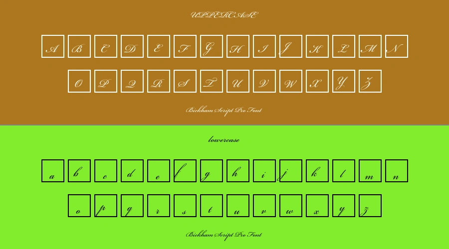 Bickham Script Pro Font Preview