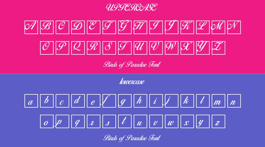 Birds of Paradise Font Preview