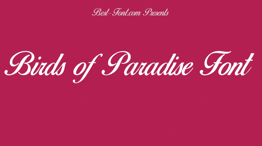 Birds of Paradise Font