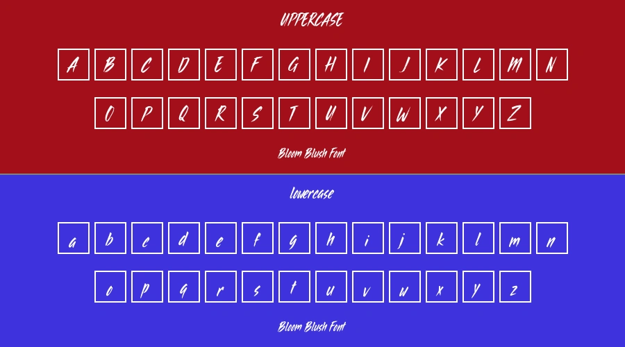 Bloom Blush Font Preview