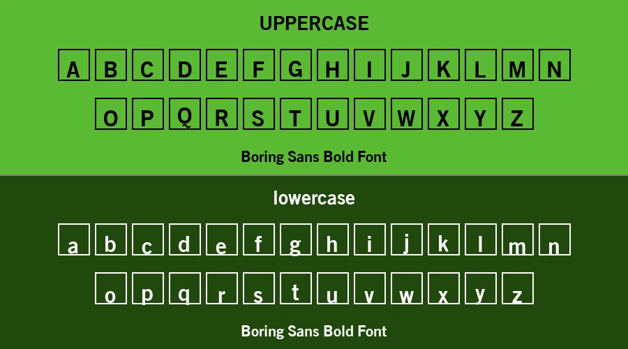 Boring Sans Bold Font Preview