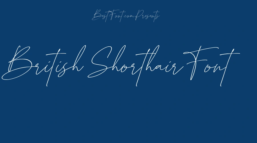 British Shorthair Font