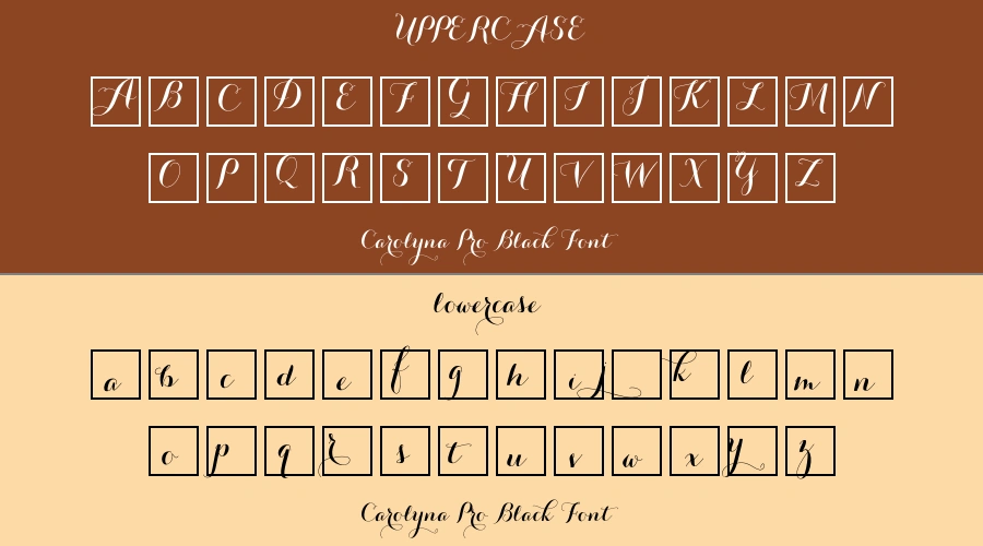 Carolyna Pro Black Font Preview
