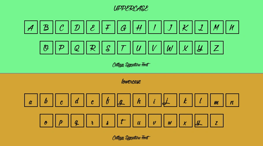 Catleya Signature Font Preview