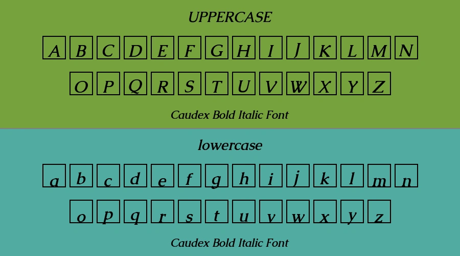 Caudex Bold Italic Font Preview