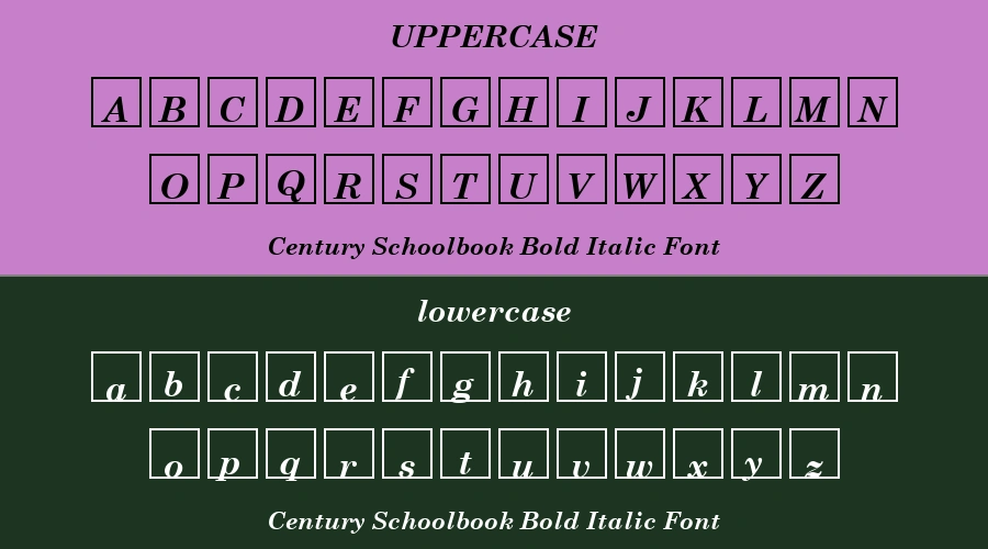 Century Schoolbook Bold Italic Font Preview