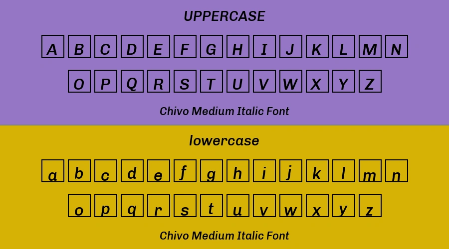 Chivo Medium Italic Font Preview