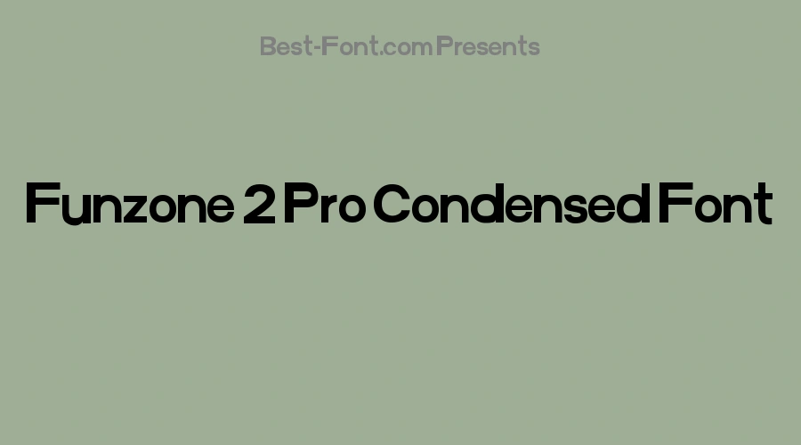 Funzone 2 Pro Condensed Font