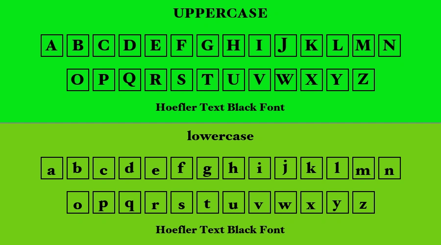 Hoefler Text Black Font Preview