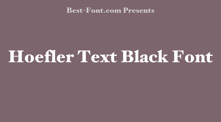 Hoefler Text Black Font