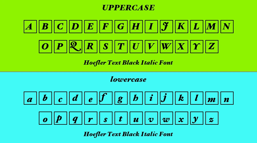 Hoefler Text Black Italic Font Preview