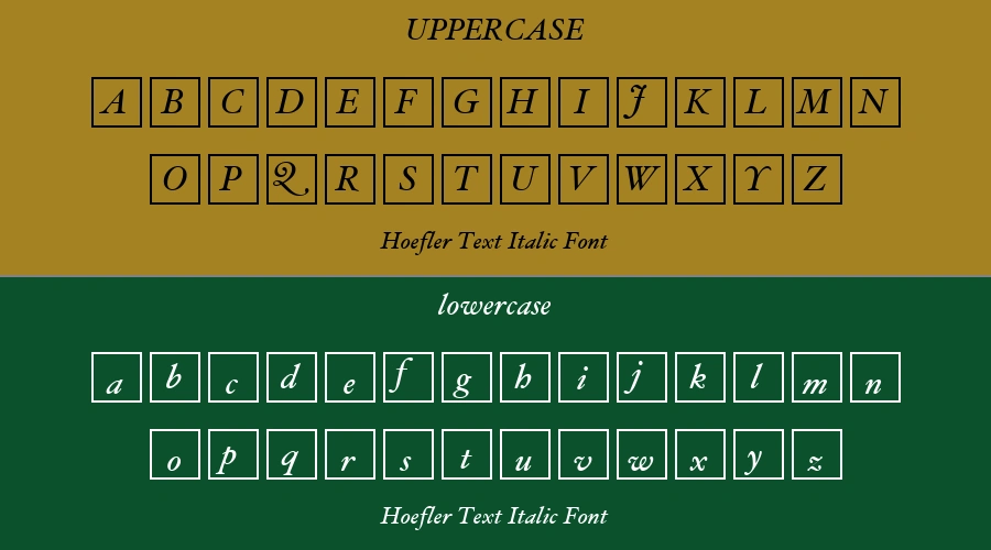Hoefler Text Italic Font Preview