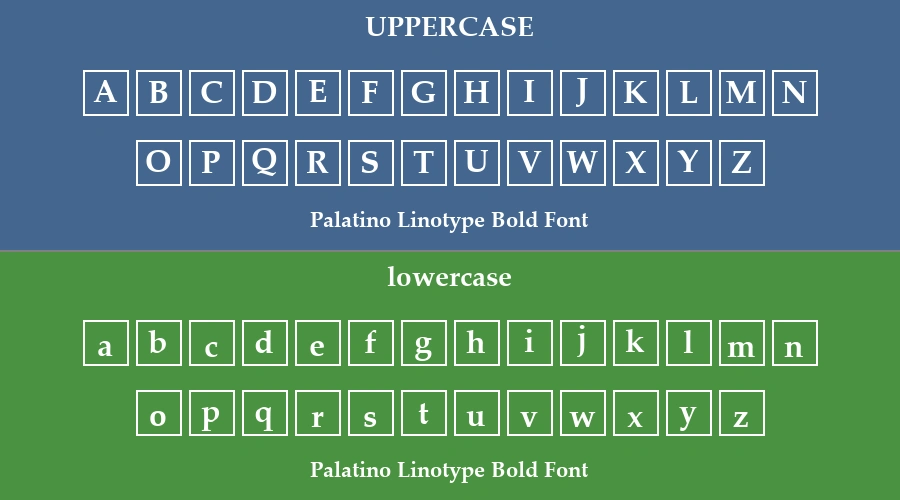 Palatino Linotype Bold Font Preview