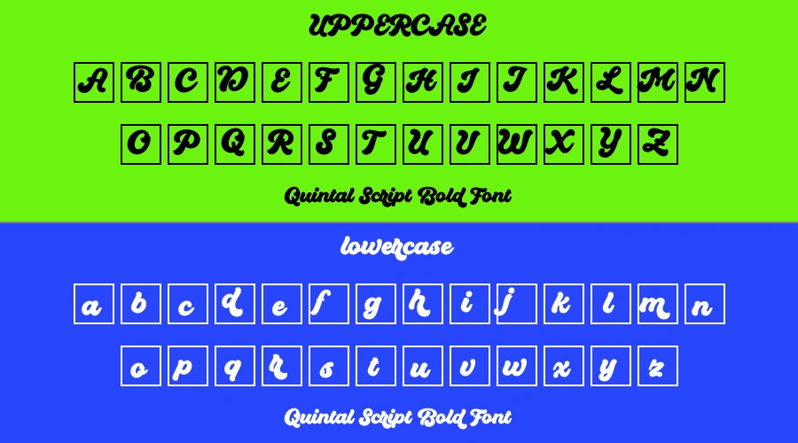 Quintal Script Bold Font Preview