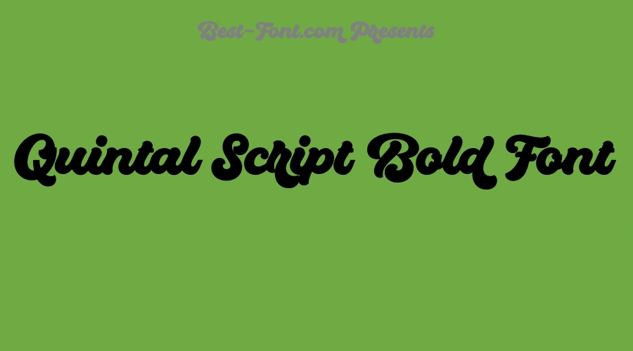 Quintal Script Bold Font