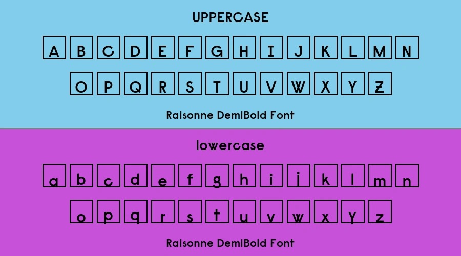 Raisonne DemiBold Font Preview