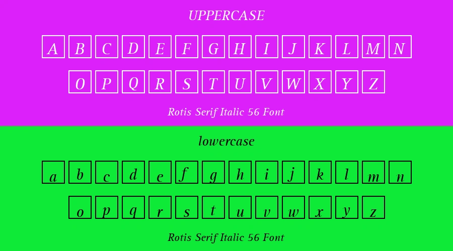 Rotis Serif Italic 56 Font Preview