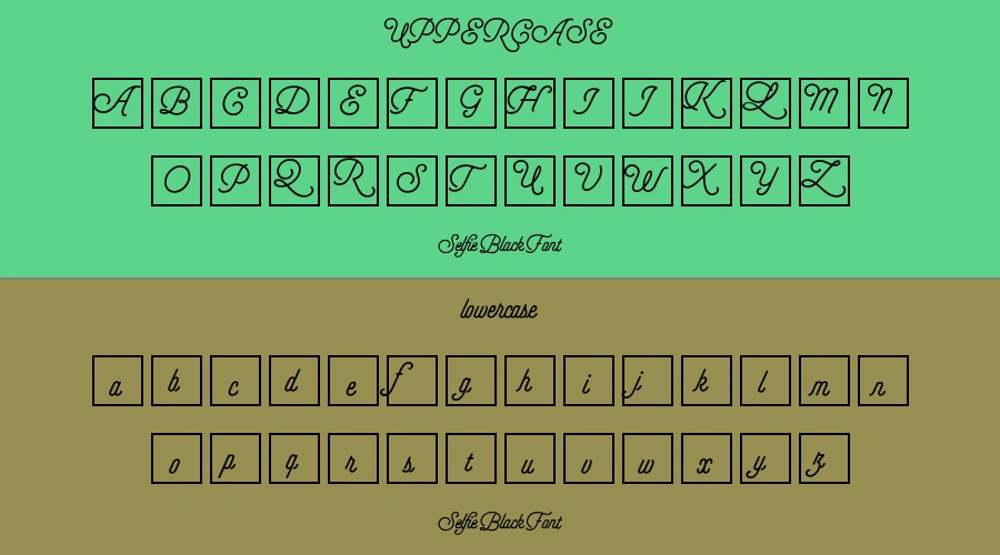 Selfie Black Font Preview