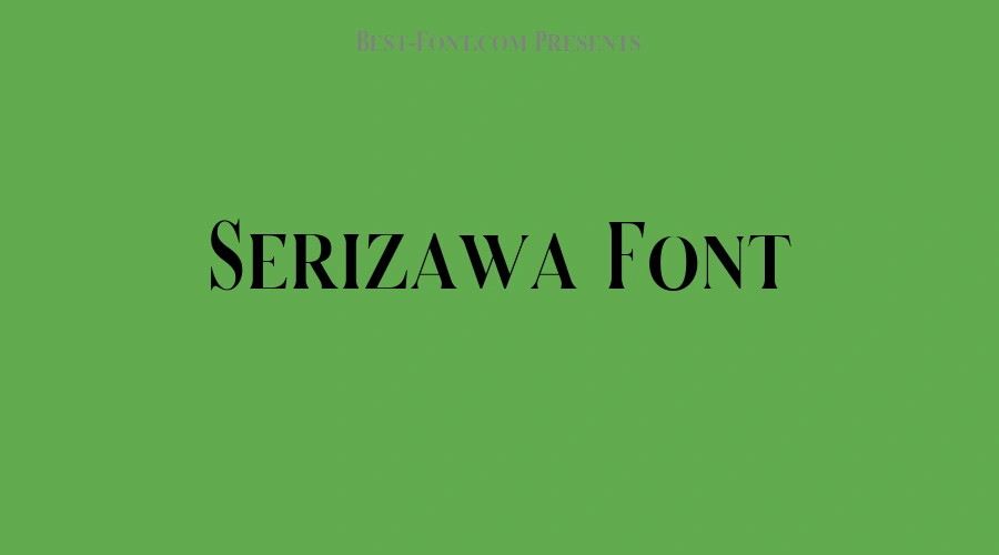 Serizawa Font