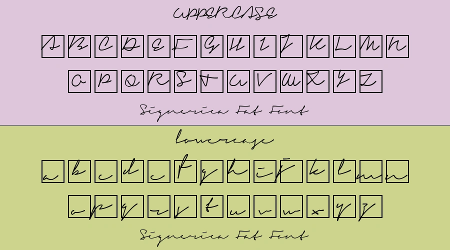 Signerica Fat Font Preview