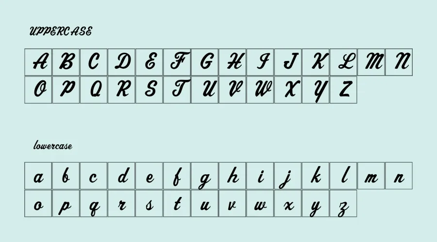 Sport Script Font Preview