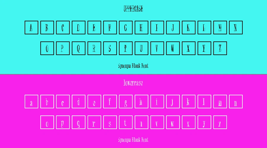 Synonym Blank Font Preview