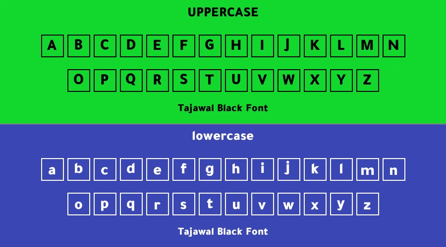 Tajawal Black Font Preview