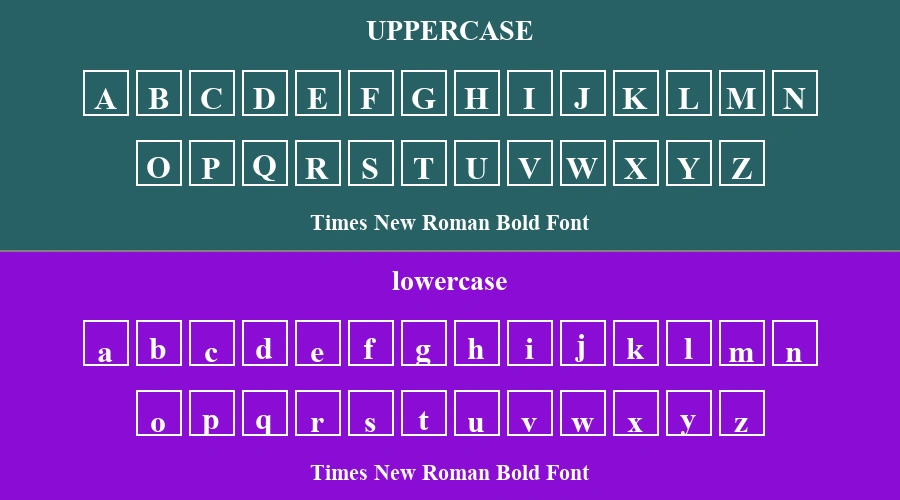 Times New Roman Bold Font Preview