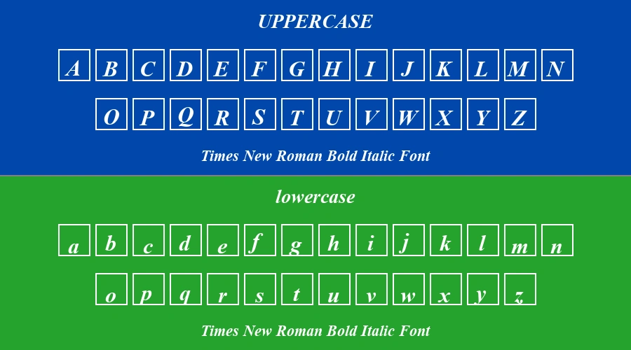 Times New Roman Bold Italic Font Preview