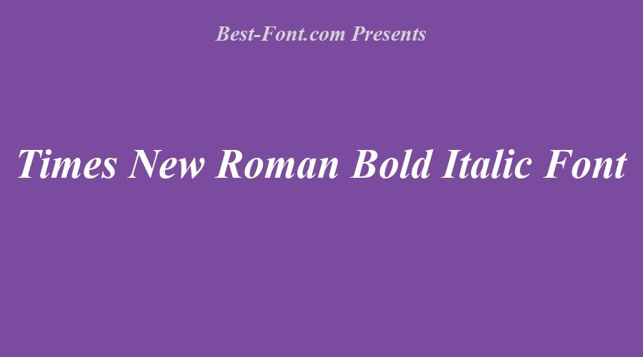 Times New Roman Bold Italic Font