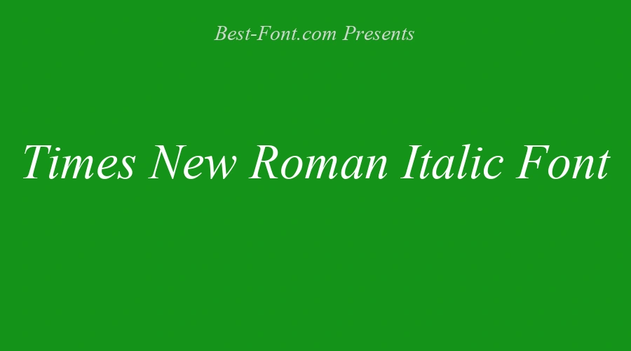 Times New Roman Italic Font