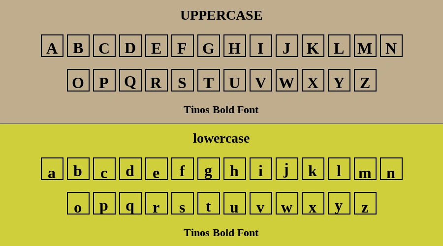 Tinos Bold Font Preview