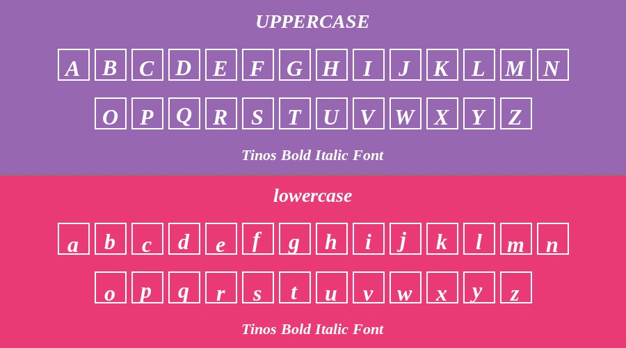 Tinos Bold Italic Font Preview