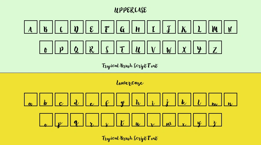 Tropical Brush Script Font Preview