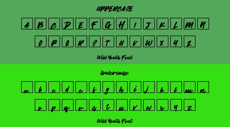 Wild Youth Font Preview
