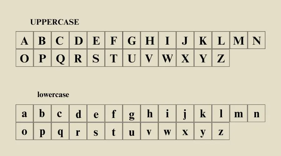 Times New Roman Font