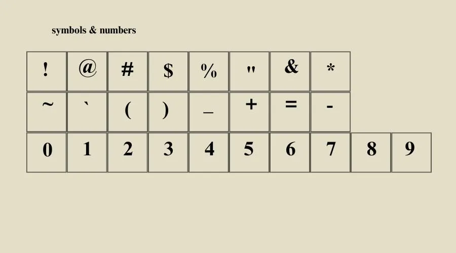 Times New Roman Font